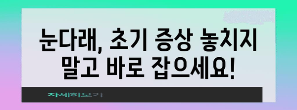 눈다래 빠른 해결책 | 초기 증상과 전염 원인 파악