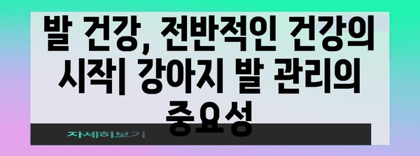 강아지 발 관리의 모든 것 | 깨끗하고 건강한 유지법