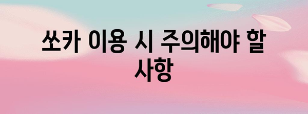 쏘카 이용료 최적화 | 효율적인 비용 제어 팁