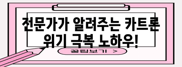 카트론 위기 극복 지침서 | 신용등급 하락 대응 전략