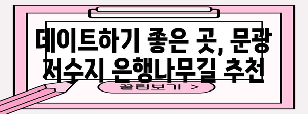 가을 산책 명소 | 문광 저수지 은행나무길