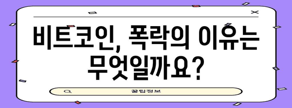 비트코인 위기 | 폭락 원인과 전망