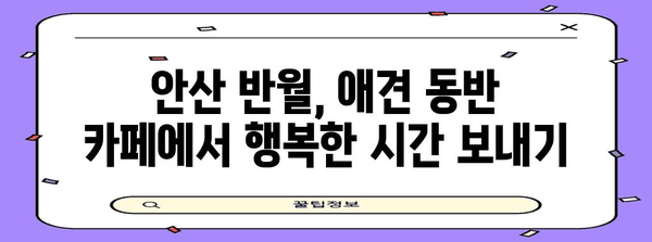 안산 반월의 대형 반려동물 동반 카페 | 애견과 함께 편안한 휴식 시간