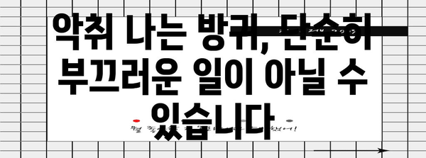 독성 방귀 | 장 건강 이상의 경고 신호 파악하기