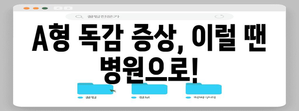 A형 독감 공포 퇴산 | 감염 경로와 격리 기간 완벽 가이드