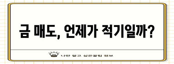 금값 상승 원인 분석 | 매도·매수 결정 시 고려 사항