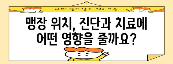 맹장 파열 위험에 영향 미치는 맹장 위치