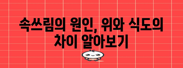 역류성 식도염 vs 위염 | 가슴쓰림과 속쓰림의 진실