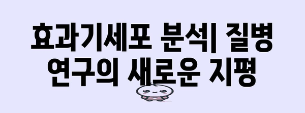 면역 체계의 수호자 | 효과기세포 분석 가이드