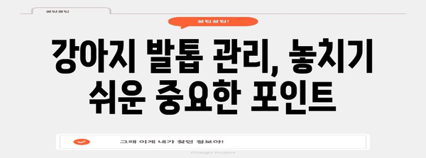 강아지 발 관리의 모든 것 | 깨끗하고 건강한 유지법