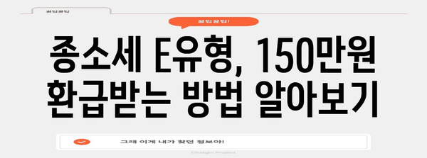 종소세 E유형 | 최대 150만원 환급받는 완벽한 가이드