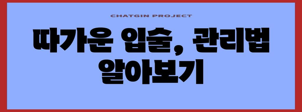 따가운 입술 완벽 대처법 | 원인부터 관리까지