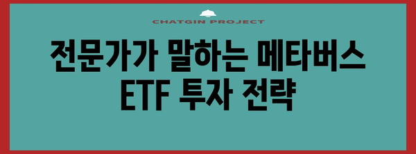 메타버스 ETF | 투자전에 꼭 알아야 할 모든 것