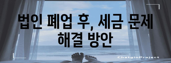 법인 폐업 후 법인격 부인 대응 전략