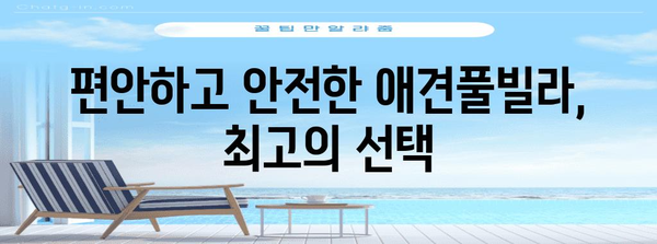애견풀빌라에서 추억 만들기 | 반려견과 함께하는 여행