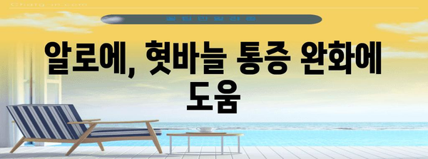 혓바늘 치료에 알로에 활용법 | 이유와 효과