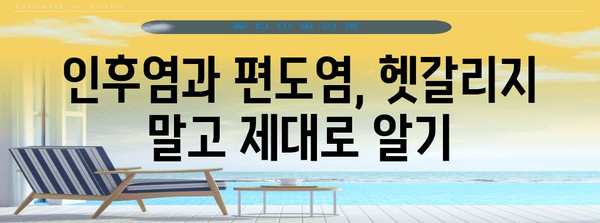 인후염과 편도염의 특징과 치료 구별 가이드