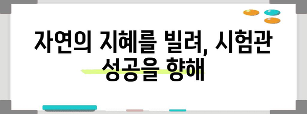 시험관 준비를 위한 중국 전통 의학과의 조화