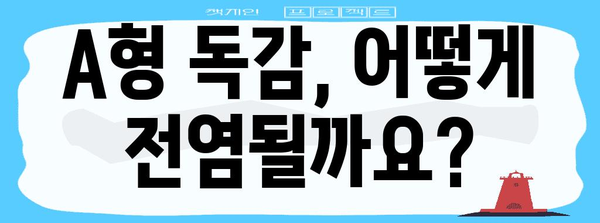 A형 독감 공포 퇴산 | 감염 경로와 격리 기간 완벽 가이드