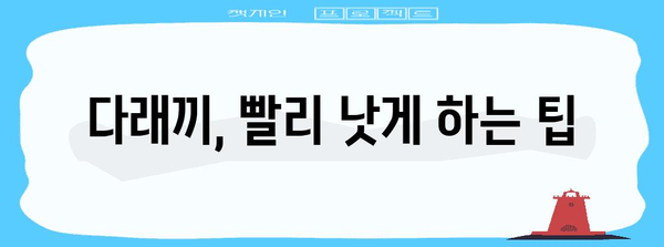 다래끼 예방 가이드 | 원인 파악과 대책