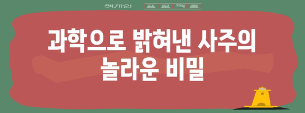 사주 운명을 밝히는 과학 | 미신이 아닌 사주의 진실