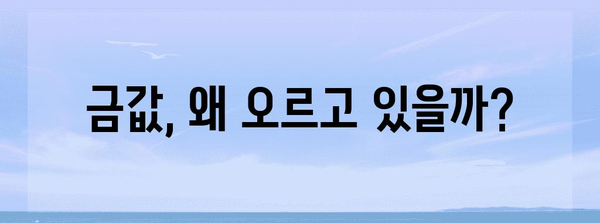 금값 상승 원인 분석 | 매도·매수 결정 시 고려 사항
