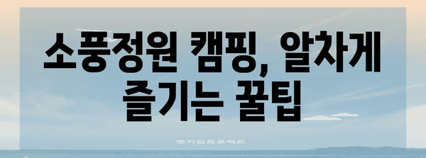 평택 고덕 소풍정원 캠핑 가이드 | 팁, 추천 장소, 세부 안내