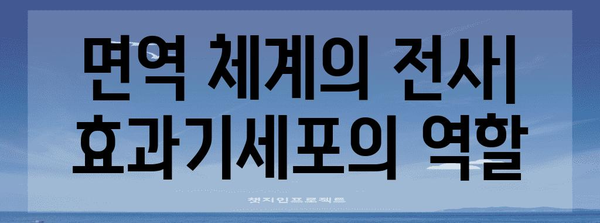 면역 체계의 수호자 | 효과기세포 분석 가이드