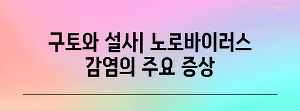 구토, 설사, 노로바이러스 | 원인, 증상, 예방