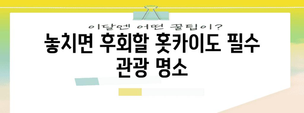 홋카이도 여행 완벽 가이드| 기초 정보부터 꿀팁까지 | 홋카이도, 여행 정보, 관광 명소, 맛집, 숙소