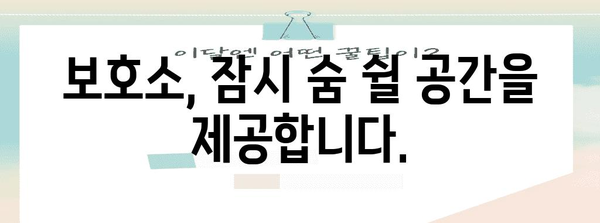 불법체류자를 위한 생명줄 | 보호소와 비자 안내