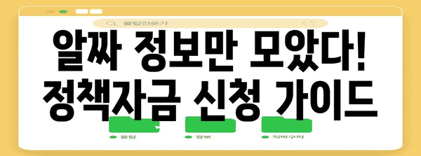 중소기업 정부정책자금 신청 가이드 | 비밀절차와 필수 요령