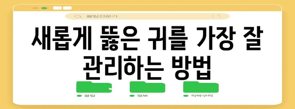 귀 피어싱 후 관리와 감염 예방 가이드 | 건강하고 깨끗한 피어싱 유지