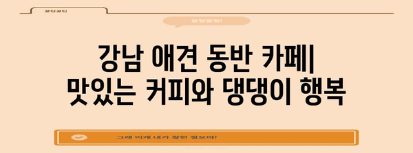 강남 애견 동반 카페 | 강아지와 함께하는 특별한 하루