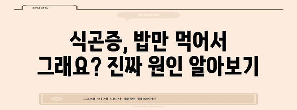 식곤증 원인 및 해결책 5가지 | 밥만 먹는 것 이상