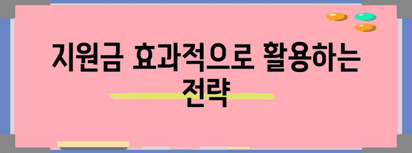 소상공인 정부 지원 가이드 | 자금 활용 성공 비법