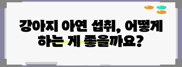 강아지 건강 필수 영양소 | 아연의 역할과 효과 알아보기