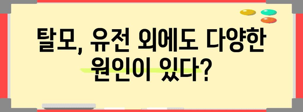 탈모 관리 팁 | 원인 진단 예방 전략