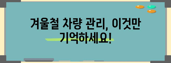추운 날씨 속 차량 겨울철 관리를 위한 실용적 팁