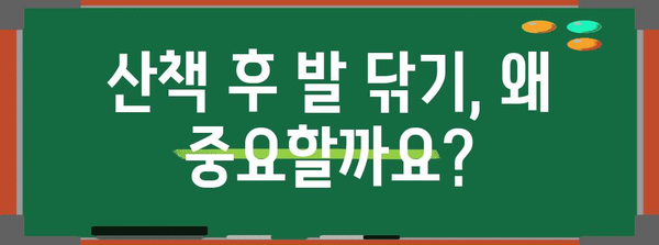 강아지 발 관리 가이드 | 산책 후 발 닦는 것의 중요성