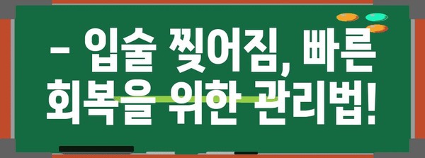 5세 아기 입술 찢어짐 대처법