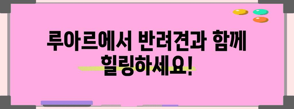 합정동 애견 동반 카페 루아르 | 강아지와 함께 즐거운 시간