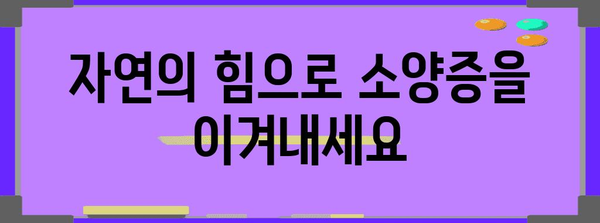 소양증 완화 자연 요법 | 편운고와 오일의 놀라운 힘