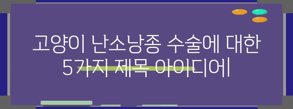고양이 난소낭종 수술 | 안전하고 효과적인 치료 방법