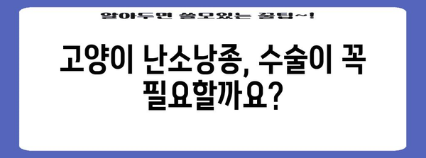 고양이 난소낭종 수술 | 안전하고 효과적인 치료 방법