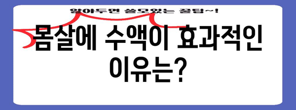 몸살 대처 | 수액 vs 몸살약, 최고의 선택법