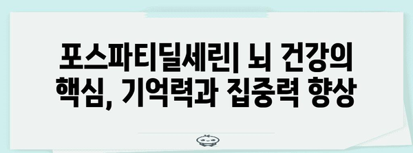 포스파티딜세린 | 기억력과 집중력을 높이는 핵심 영양소
