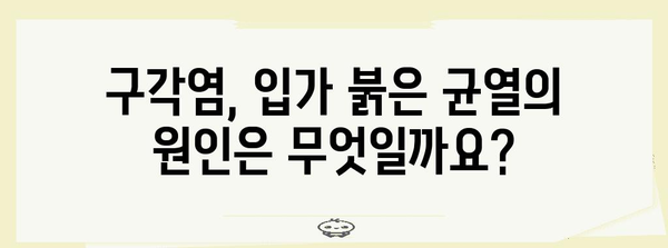 구각염 완벽 가이드 | 원인, 예방법, 치료 대책