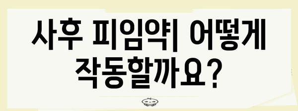 사후 피임약 | 장점, 단점, 효과 비교 가이드