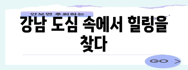 강남 캠핑고양이 | 고양이와 즐기는 야외 힐링 휴식